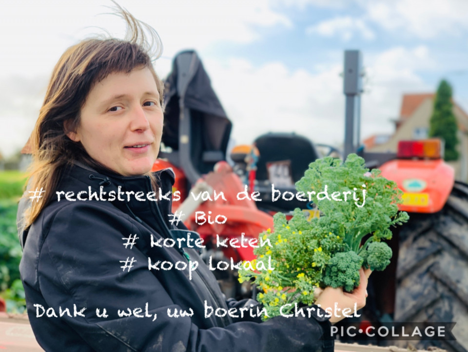 christel bio sofie