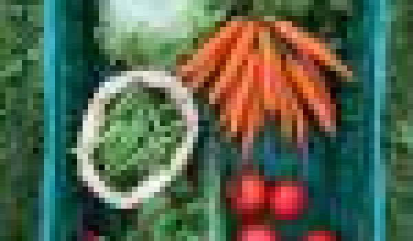 pakket middel groente (4 weken)