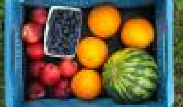 grootfruitpakket 4 weken